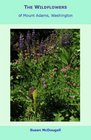 The Wildflowers of Mount Adams Washington