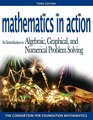 Mathematics in Action An Introduction to Algebraic Graphicald Numerical Problem Solving Value Package