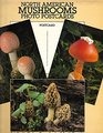 North American Mushrooms Photo Postcards