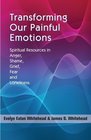 Transforming Our Painful Emotions Spiritual Resources in Anger Shame Grief Fear and Loneliness