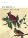 John J. Audubon's Guide: The Birds of the Northeast