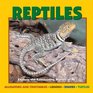 Reptiles Explore the Fascinating Worlds OfAlligators and Crocodiles Lizards Snakes Turtles