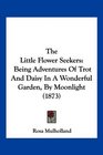 The Little Flower Seekers Being Adventures Of Trot And Daisy In A Wonderful Garden By Moonlight