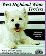 West Highland White Terriers