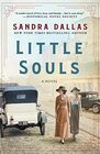 Little Souls A Novel