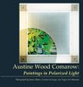 Austine Wood Comarow Paintings in Polarized Light