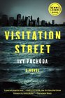 Visitation Street A Novel