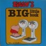 Big Little Book