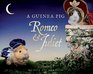A Guinea Pig Romeo  Juliet