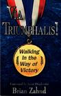 Via Triumphalis Walking in the Way of Victory