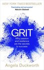 Grit Why Passion and Resilience are the Secrets to Success