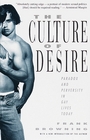 The Culture of Desire Paradox and Perversity in Gay Lives Today