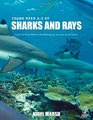 AZ of Sharks and Rays From the Great White to the Wobbegong we cover all the basics