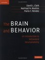 The Brain and Behavior  An Introduction to Behavioral Neuroanatomy