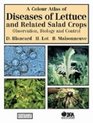 A Colour Atlas of Diseases of Lettuce and Related Salad Crops