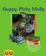 Guppy Platy Molly und andere Lebendgebrende Anschaffung Pflege Ftterung Verhalten Sonderteil Zucht