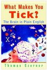 What Makes You Tick The Brain in Plain English