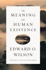 The Meaning of Human Existence