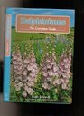 Delphiniums The Complete Guide