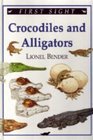 Crocodiles and alligators