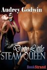 Dirty Little Steam Queen (BookStrand Publishing)