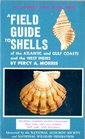 Field Guide to Shells in Atlantic Gulf Coast