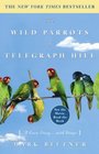 The Wild Parrots of Telegraph Hill  A Love Story    with Wings