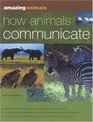 Amazing Animals How Animals Communicate