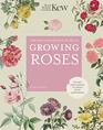 The Kew Gardener's Guide to Growing Roses The Art and Science to Grow with Confidence