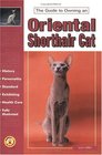 The Guide to Owning an Oriental Shorthair Cat