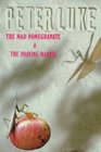 Mad Pomegranate  The Praying Mantis An Andalusian Adventure