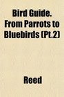Bird Guide From Parrots to Bluebirds