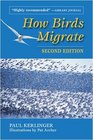 How Birds Migrate