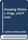 Amazing Wolves Dogs and Foxes