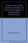 Pulp cavities of the permanent teeth An anatomical guide to manipulative endodontics