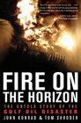 Fire on the Horizon The Untold Story of the Gulf Oil Disaster