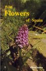 Wild Flowers of Spain