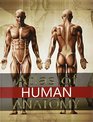 Atlas of Human Anatomy  VIGUE JORDI