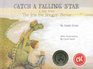 Catch a Falling Star A Tale from the Iris the Dragon Series