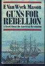 Guns for rebellion