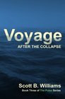 Voyage After the Collapse