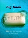 The Big Book Of Filth 6500 Sex Slang Words and Phrases