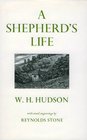 Shepherd's Life