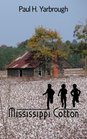 Mississippi Cotton (A Southern Novel)