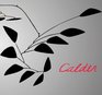 Calder : Gravity and Grace