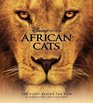 Disney Nature African Cats The Story Behind the Film