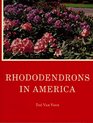 Rhododendrons in America