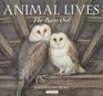Animal Lives the Barn Owl