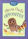 Olivia Owl's Opposites