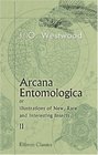 Arcana Entomologica or Illustrations of New Rare and Interesting Insects Volume 2